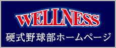 日本ウェルネス高等学校 硬式野球部